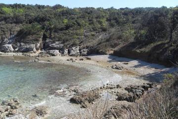 Photo 28