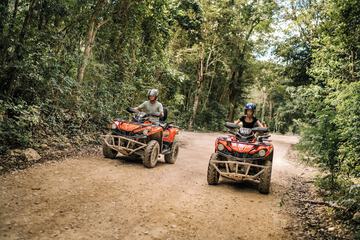 Ecotours