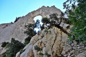 Photo 48