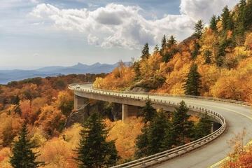 Children's activities