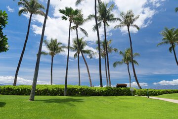 Outdoor wedding area