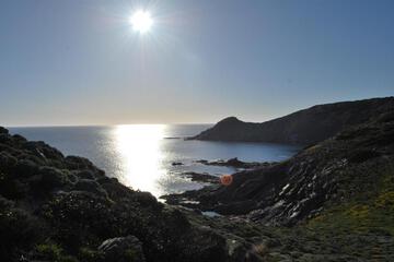 Photo 34