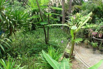 Photo 28
