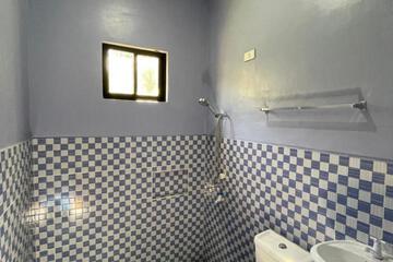 Photo 50