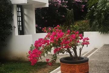 Photo 57