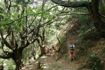 Hiking