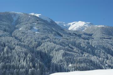 Photo 45