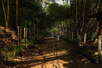 Hiking
