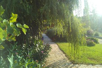 Photo 98