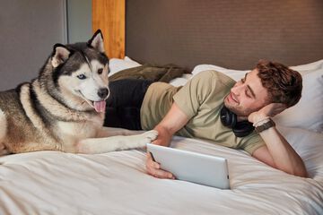 Pet-friendly