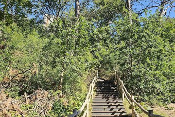 Hiking