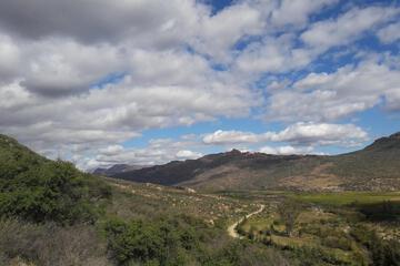 Photo 40