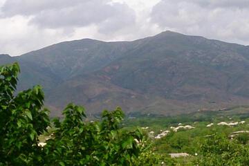 Photo 45