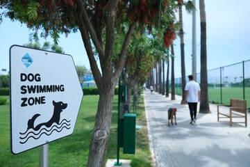 Pet-friendly