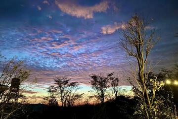 Photo 44