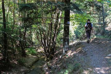Hiking