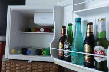 Mini-refrigerator