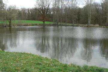 Photo 37