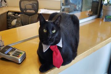 Hotel Interior 27 of 48