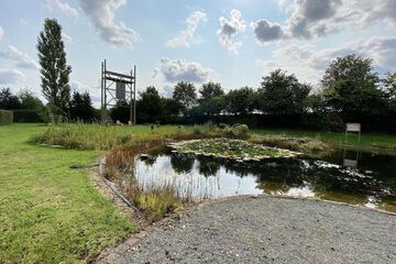 Photo 19