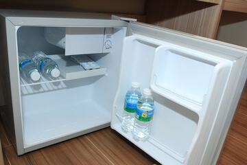Mini-refrigerator