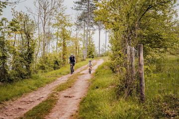 Bicycling