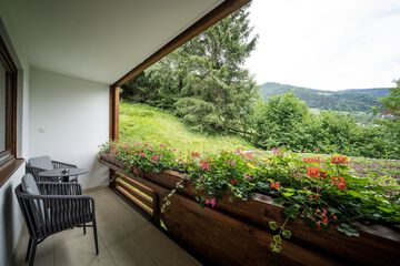 Balcony view