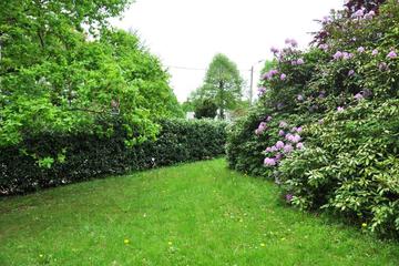 Photo 38