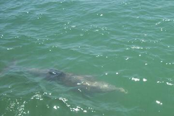 Photo 46