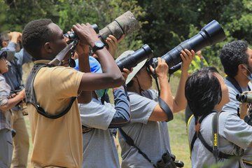 Game viewing