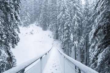 Snowshoeing