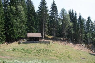 Photo 37