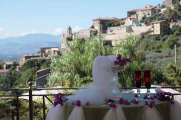Outdoor wedding area