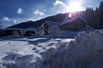 Photo 43