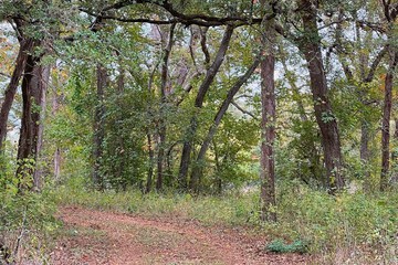 Hiking