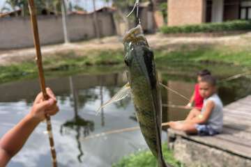 Fishing