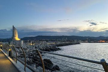 Photo 44
