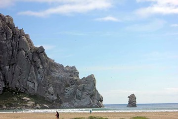 Photo 31