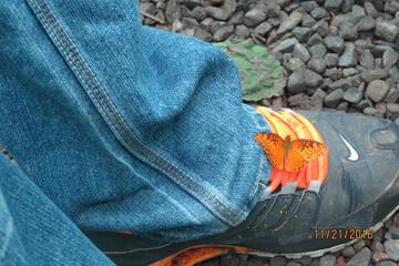 Photo 86