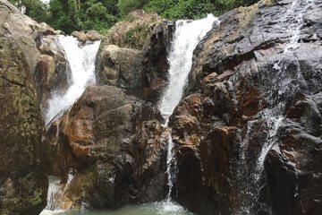 Ecotours