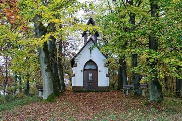 Photo 26
