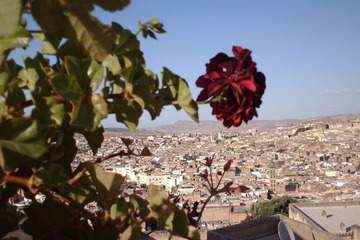 City view