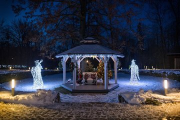 Outdoor wedding area