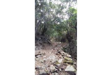 Outdoor rock climbing