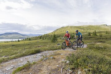 Bicycling