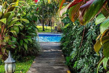 Garden view