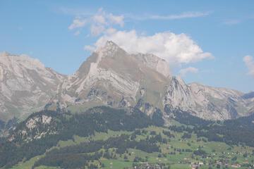 Photo 45