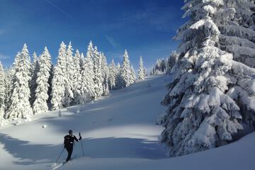 Snowshoeing