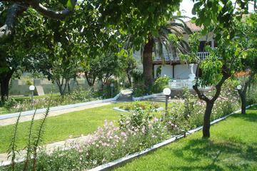 Photo 22