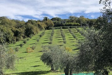 Winery